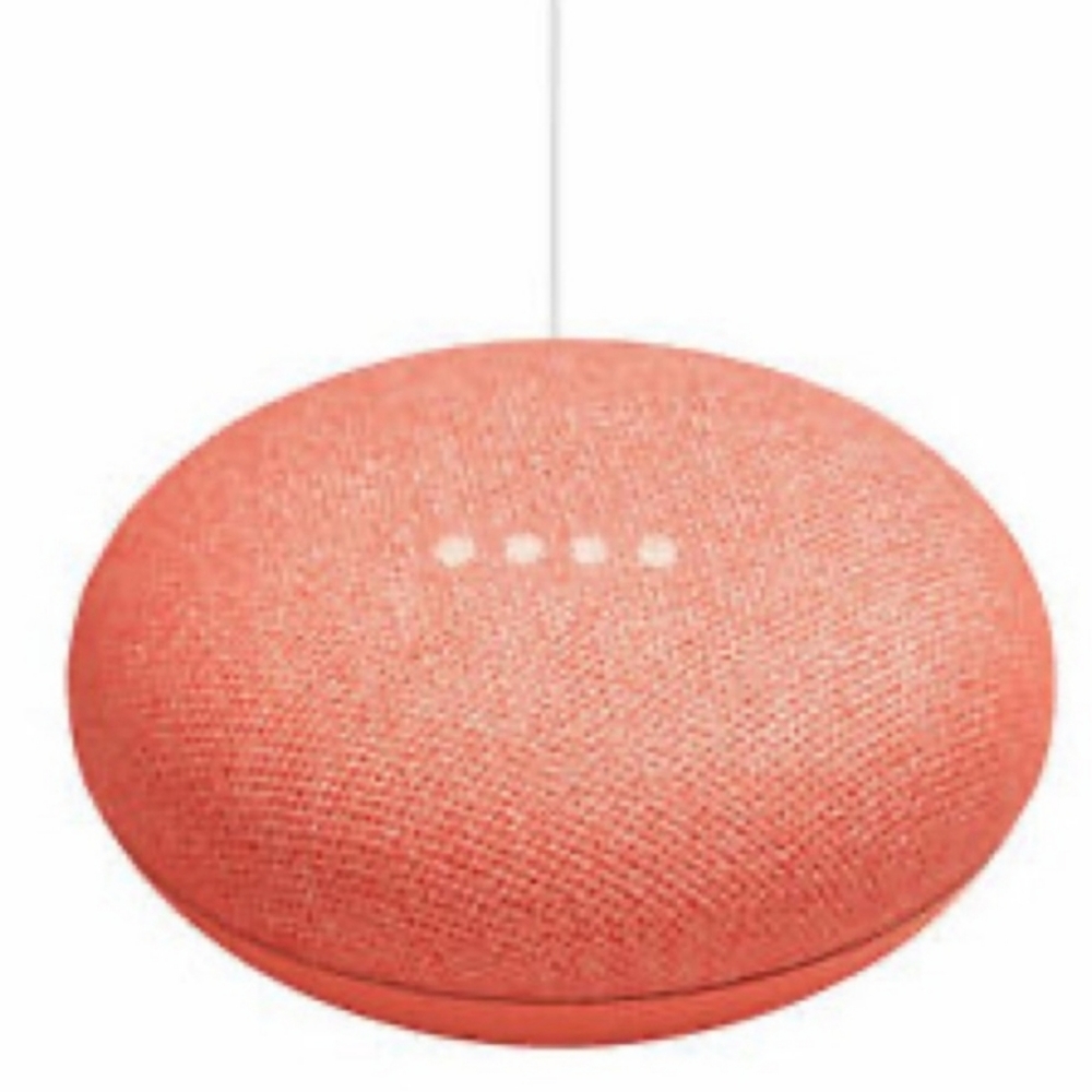 Free Shipping Google Nest Mini